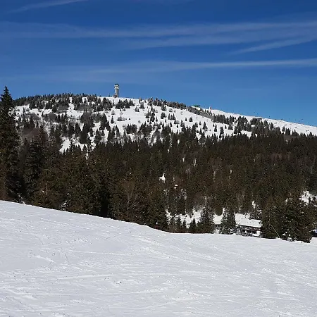 Enjoy Ferienwohnung Feldberg Grafenmatt Buitenkant foto