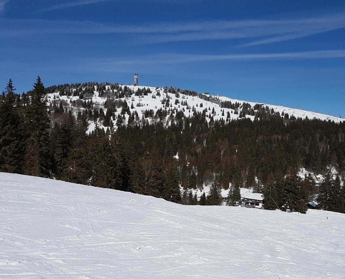Enjoy Feldberg Grafenmatt Apartment *
