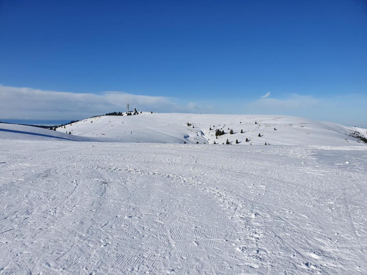 Enjoy Feldberg Grafenmatt Apartment *